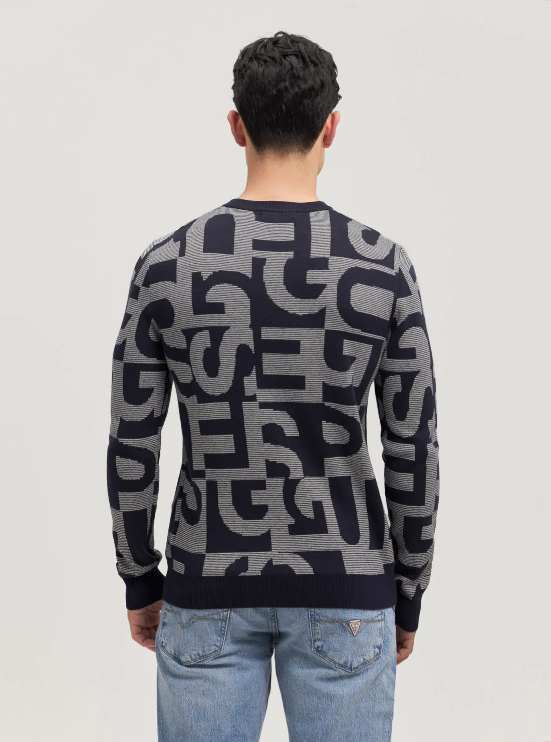 Eco Blue Denny Logo Knit Jumper Guess